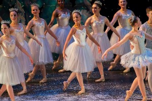 17.__nutcracker7025_8893765682521891555_n